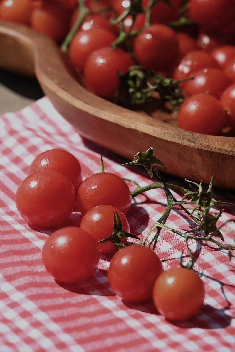 Tomatoes in a garden