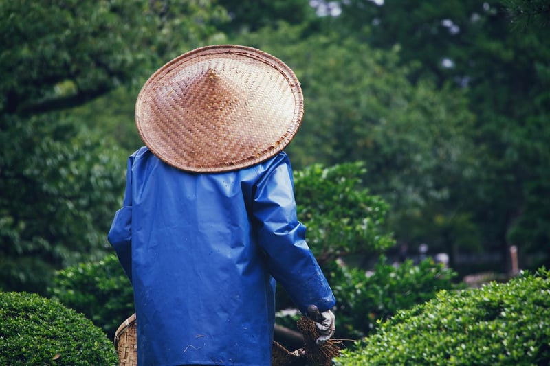 Social Media Gardening Group
